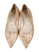 Jimmy Choo Glitter Ballet Flats