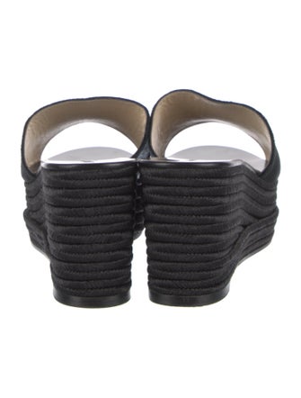 Jimmy Choo Ponyhair Braided Accents Espadrilles