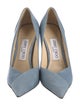 Jimmy Choo Suede Pumps