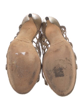 Jimmy Choo Snakeskin Animal Print Slingback Pumps