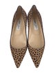 Jimmy Choo Ponyhair Animal Print Pumps