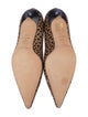 Jimmy Choo Ponyhair Animal Print Pumps
