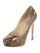Jimmy Choo Embossed Leather Animal Print Pumps