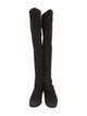 Jimmy Choo Suede Boots