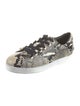 Jimmy Choo Leather Animal Print Sneakers