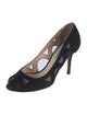 Jimmy Choo Suede Mesh Accents Pumps