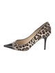 Jimmy Choo Ponyhair Animal Print Pumps