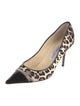 Jimmy Choo Ponyhair Animal Print Pumps