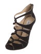 Jimmy Choo Suede Pumps