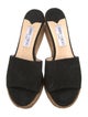Jimmy Choo Suede Braided Accents Espadrilles