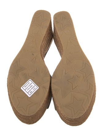 Jimmy Choo Suede Braided Accents Espadrilles