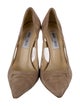 Jimmy Choo Suede Mesh Accents Pumps
