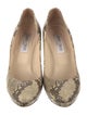 Jimmy Choo Snakeskin Animal Print Pumps