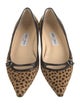 Jimmy Choo Ponyhair Animal Print Flats