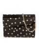 Jimmy Choo Acrylic Evening Bag