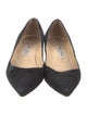 Jimmy Choo Suede Pumps