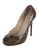 Jimmy Choo Patent Leather Animal Print Pumps