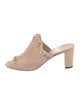 Jimmy Choo Suede Studded Accents Mules