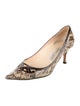 Jimmy Choo Snakeskin Animal Print Pumps