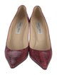 Jimmy Choo Snakeskin Animal Print Pumps