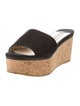 Jimmy Choo Suede Slides