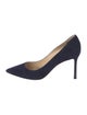 Jimmy Choo Suede Pumps