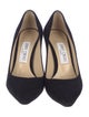Jimmy Choo Suede Pumps
