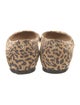 Jimmy Choo Suede Animal Print Flats