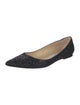 Jimmy Choo Glitter Glitter Accents Ballet Flats