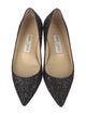 Jimmy Choo Glitter Glitter Accents Ballet Flats
