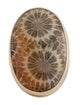 Jamie Joseph Fossil Coral Cocktail Ring