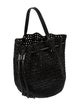 Janessa Leone Raffia Bucket Bag