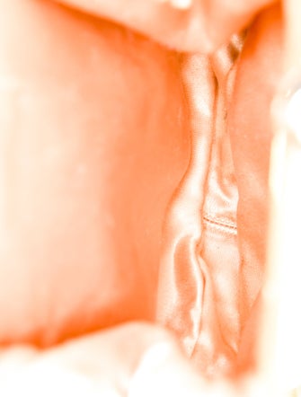 Judith Leiber Leather Evening Bag