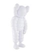 KAWS 2020 What Party Vinyl Figure