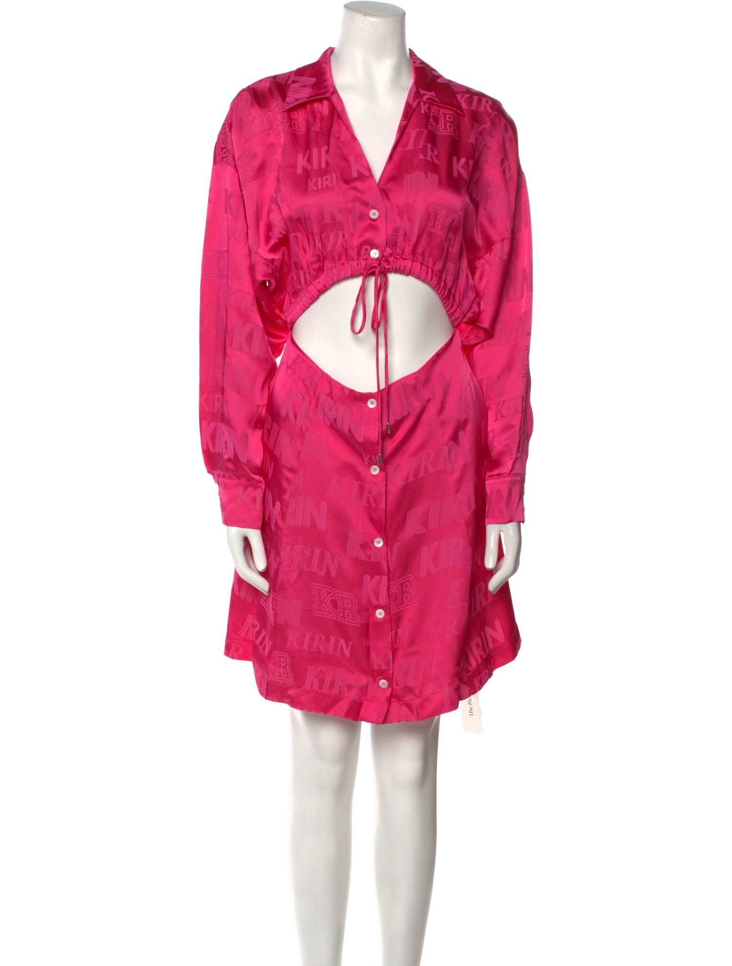 Kirin V-Neck Mini Dress w/ Tags