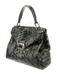 Kara Ross Python Top Handle Bag