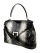 Kara Ross Python Top Handle Bag