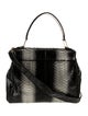 Kara Ross Python Top Handle Bag