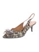 Lanvin Snakeskin Animal Print Slingback Pumps