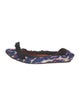 Lanvin Printed Bow Accents Ballet Flats