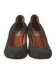 Lanvin Suede Pumps