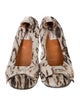 Lanvin Canvas Animal Print Ballet Flats