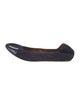 Lanvin Suede Ballet Flats