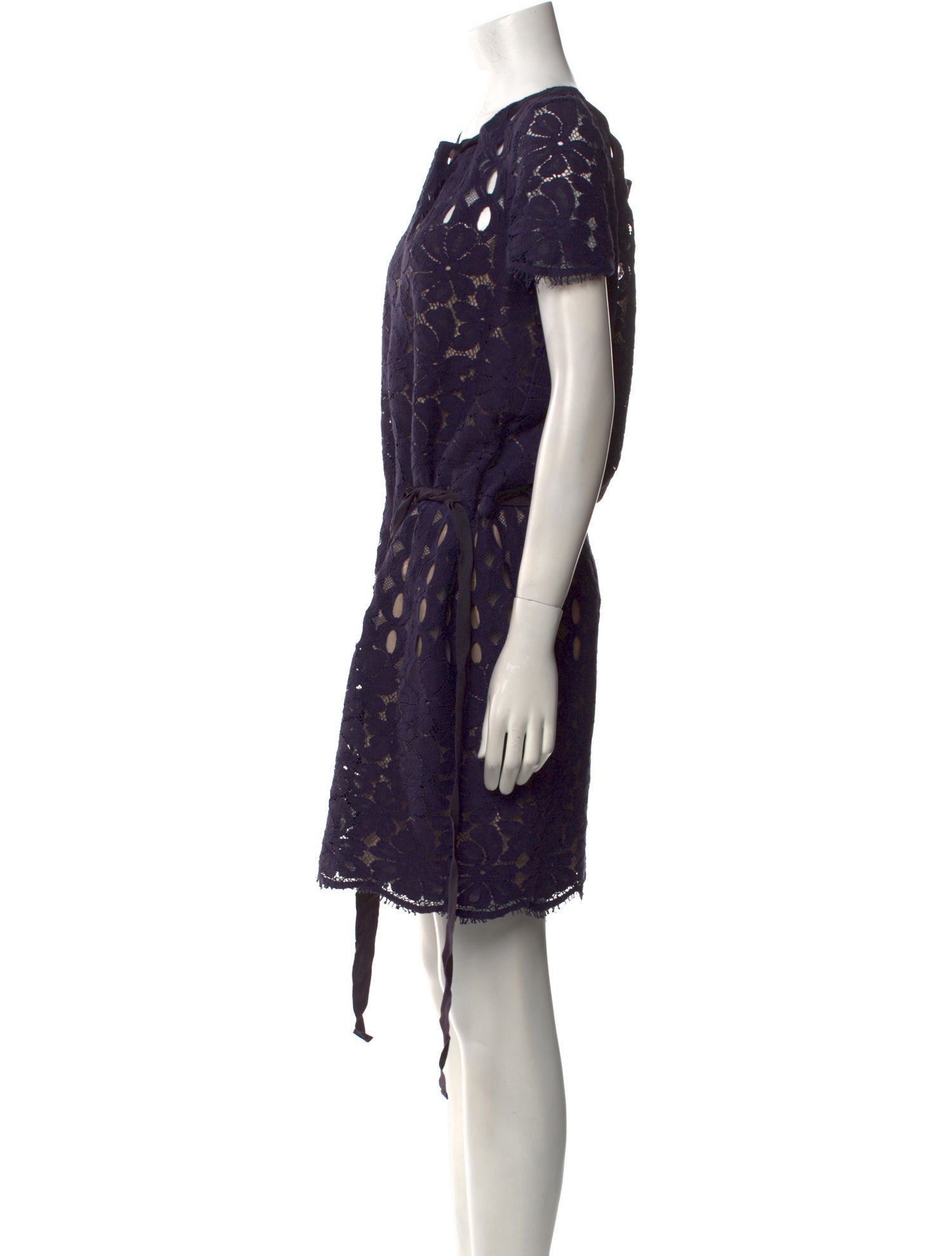 Lanvin Lace Pattern Mini Dress