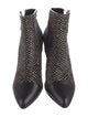 Lanvin Ponyhair Boots