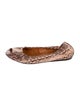 Lanvin Snakeskin Animal Print Ballet Flats