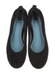 Lanvin Suede Pumps