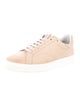 Lanvin Suede Sneakers