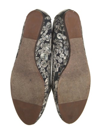 Lanvin Canvas Floral Print Ballet Flats