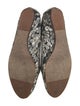 Lanvin Canvas Floral Print Ballet Flats